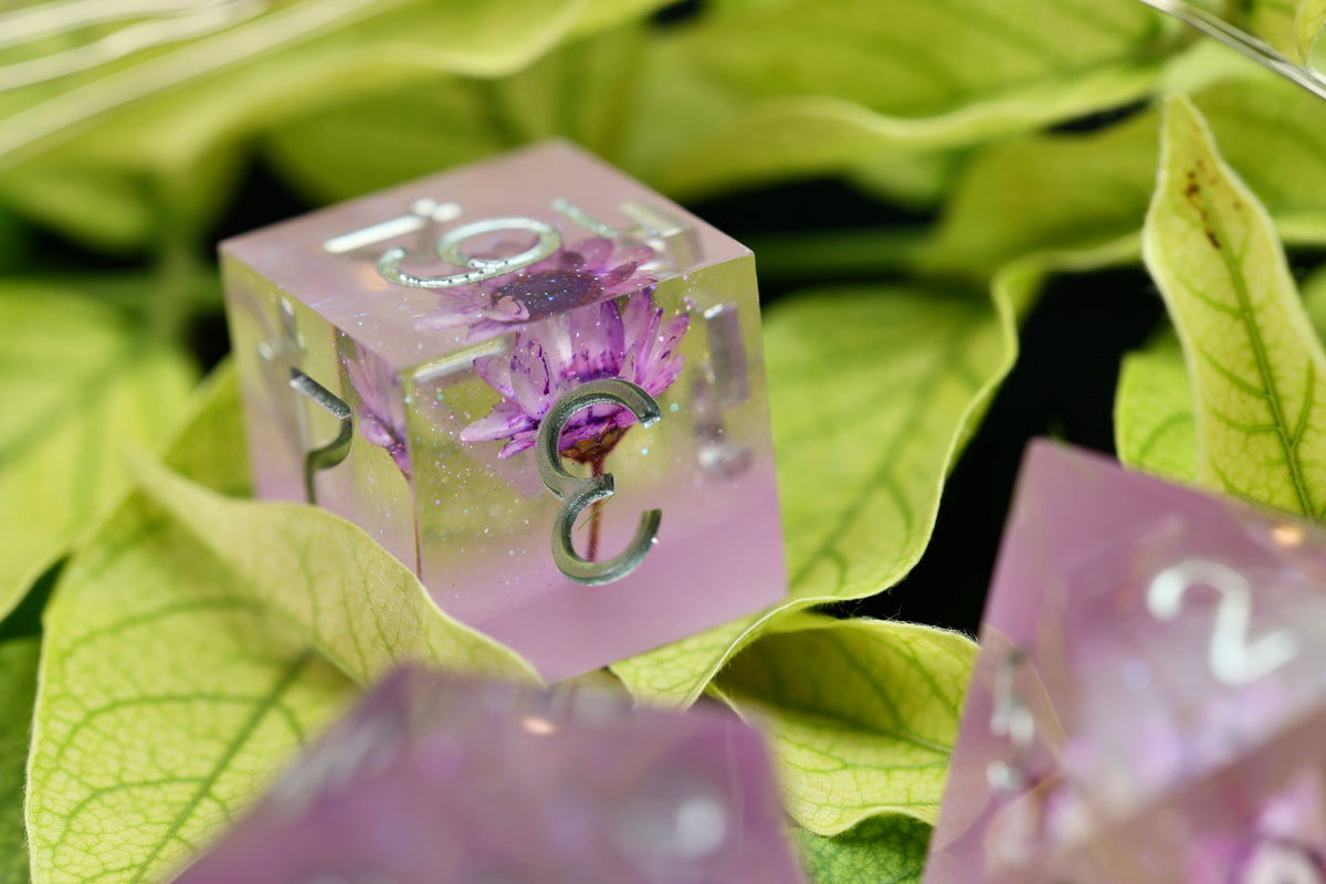 **DiceNest   D&D  Wisteria Whisper